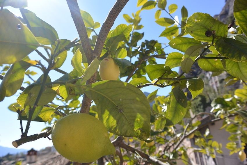 Limone, sul lago di Garda Limone, sul lago di Garda