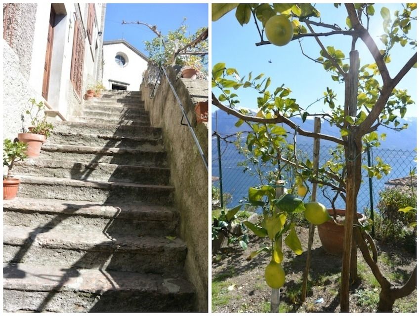limone lago di garda	 limone lago di garda