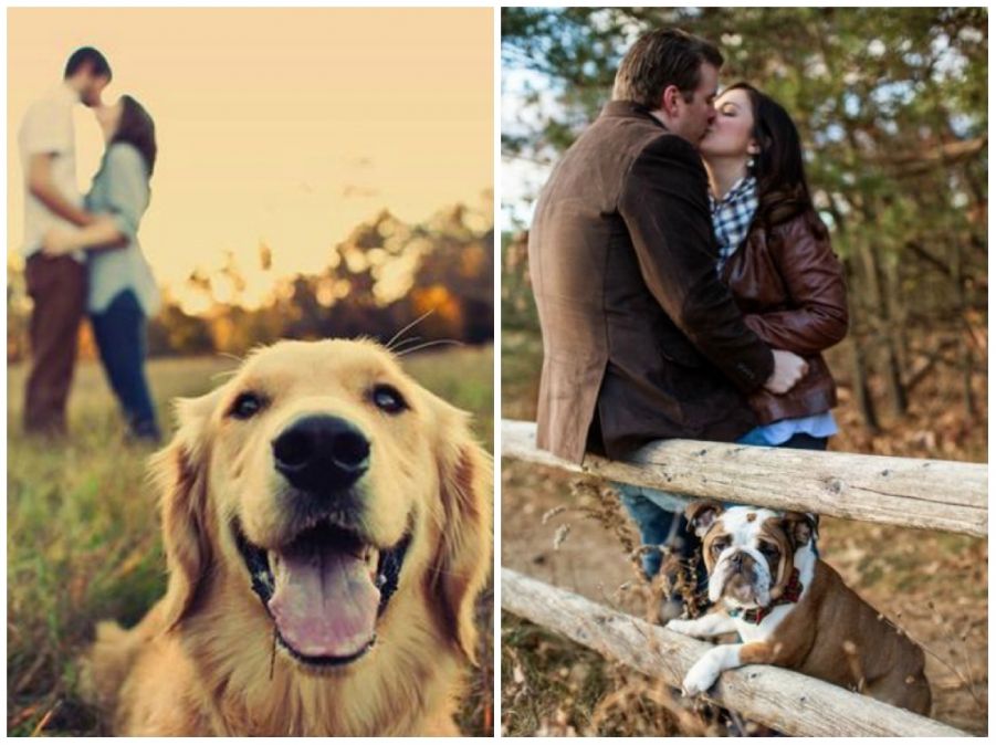 idee engagement shooting - cane idee engagement shooting - cane