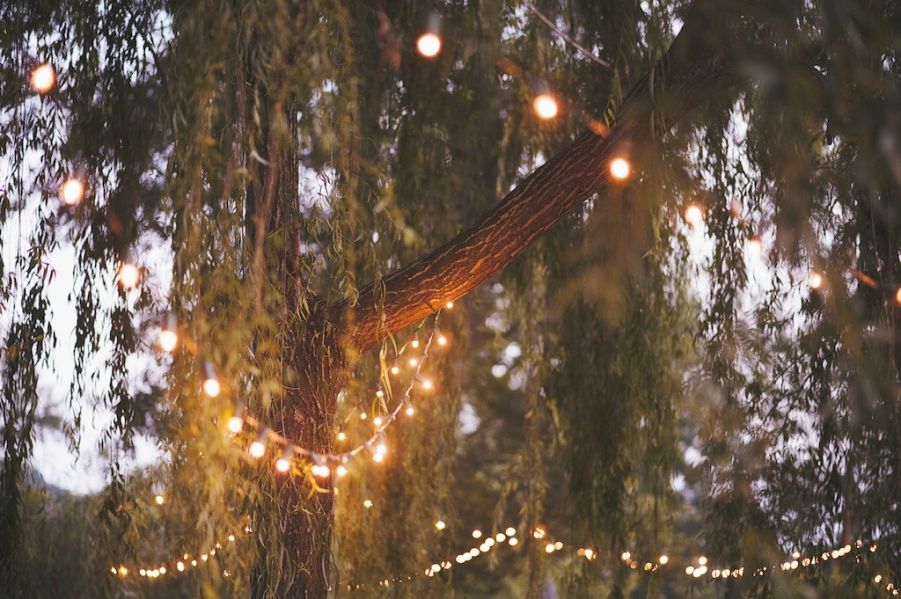 luci vintage per un'atmosfera magica luci vintage per un'atmosfera magica