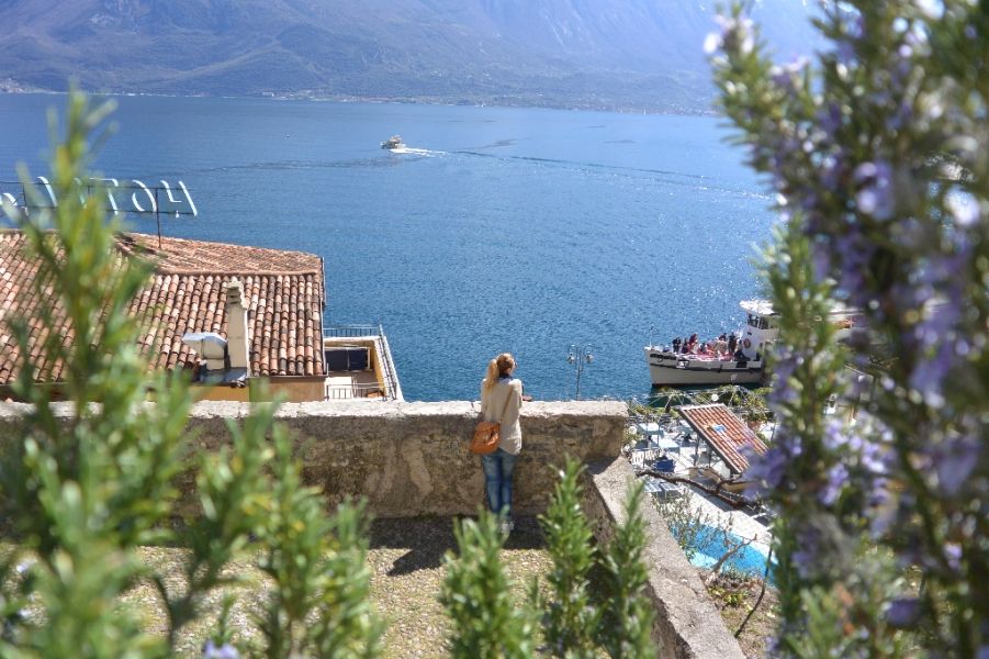 limone, foto mia limone, foto mia