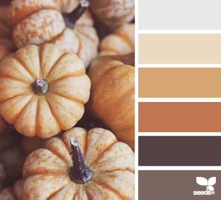 come trovare palette matrimonio come trovare palette matrimonio