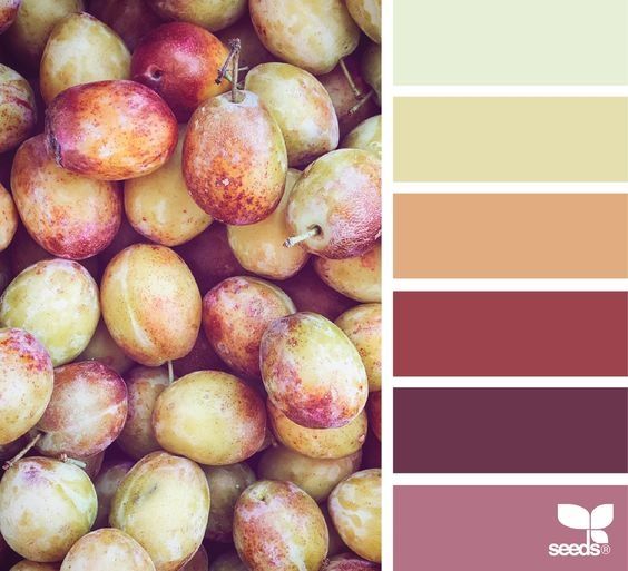 idea palette matrimonio autunno idea palette matrimonio autunno