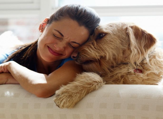 adottare un cane adottare un cane