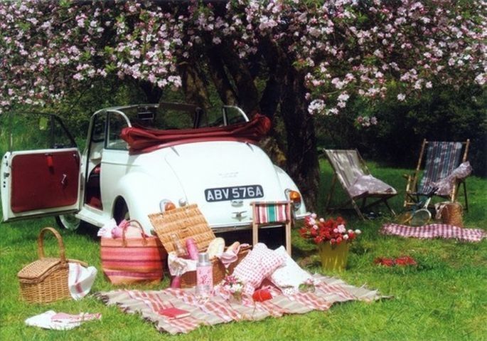 un pic nic per il vostro matrimonio un pic nic per il vostro matrimonio