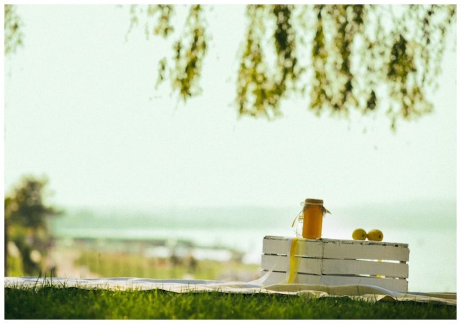 matrimonio pic nic lago di garda