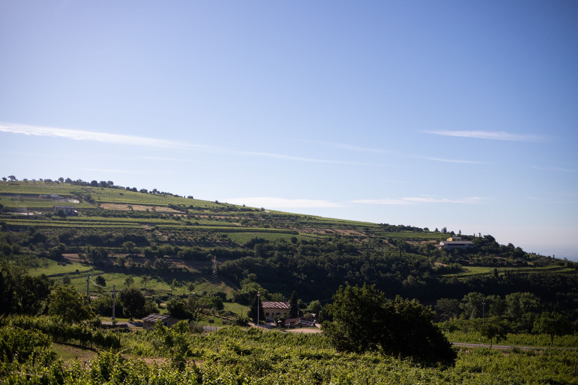 matrimonio valpolicella