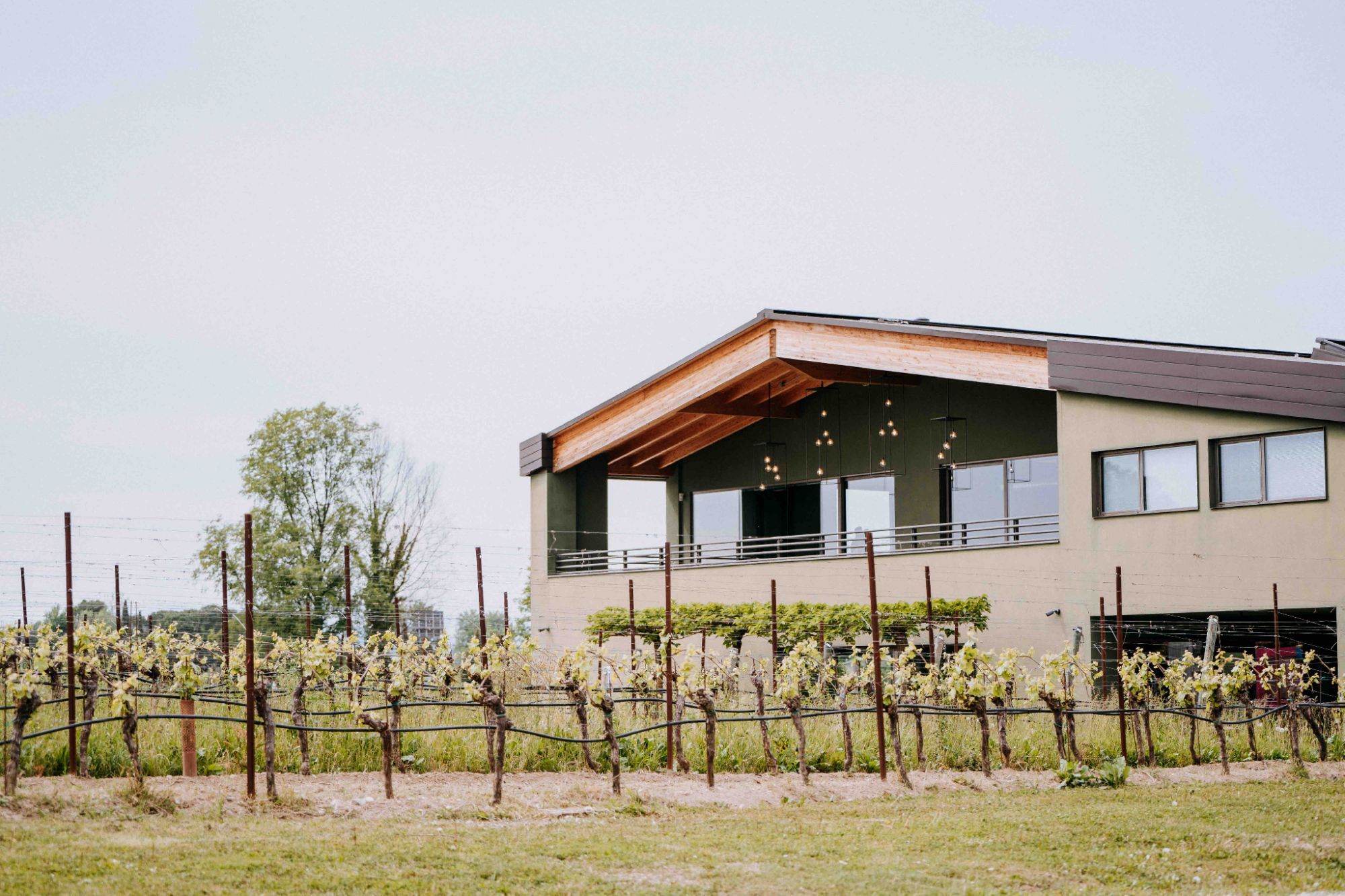 wedding wine venue wedding wine venue