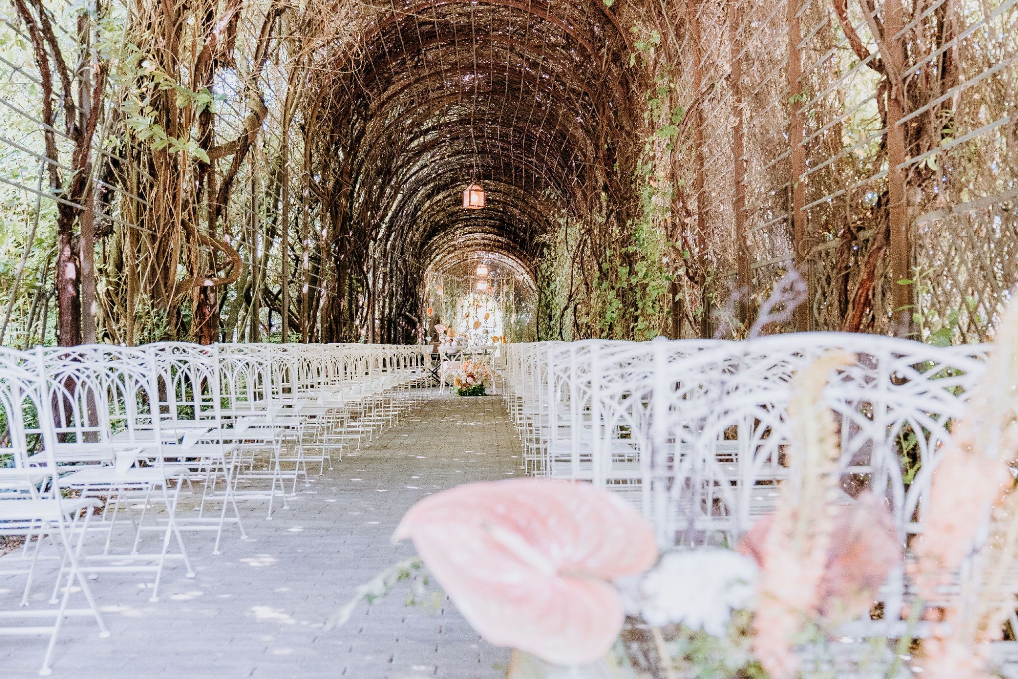 matrimoni 2022 valeria ferrari matrimoni 2022 valeria ferrari